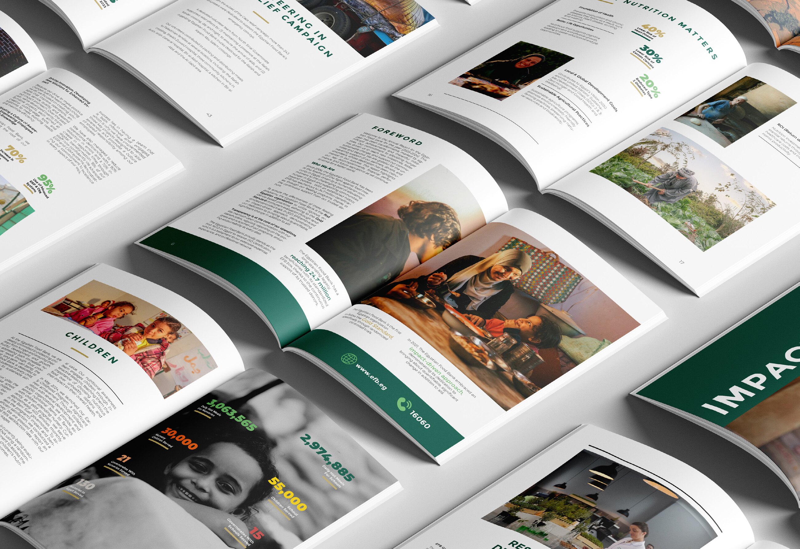 Egyptian Food Bank annual report editorial spread.